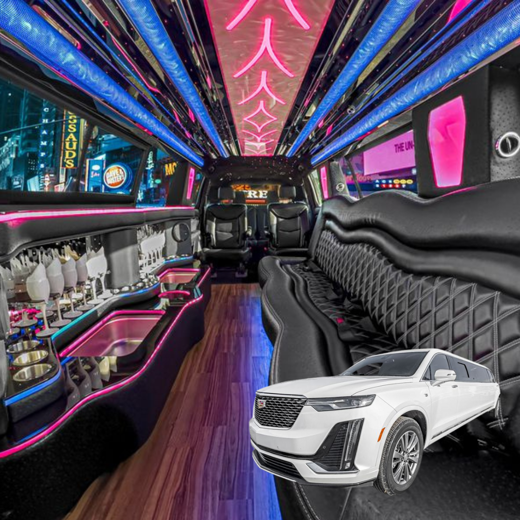 14 Pax Limo